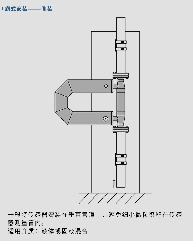 科里奧利質(zhì)量流量計(jì)垂直安裝示意圖